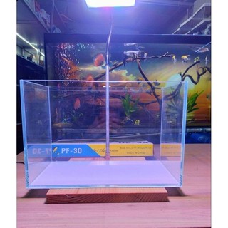 Đèn led đế gỗ cho bể thủy sinh