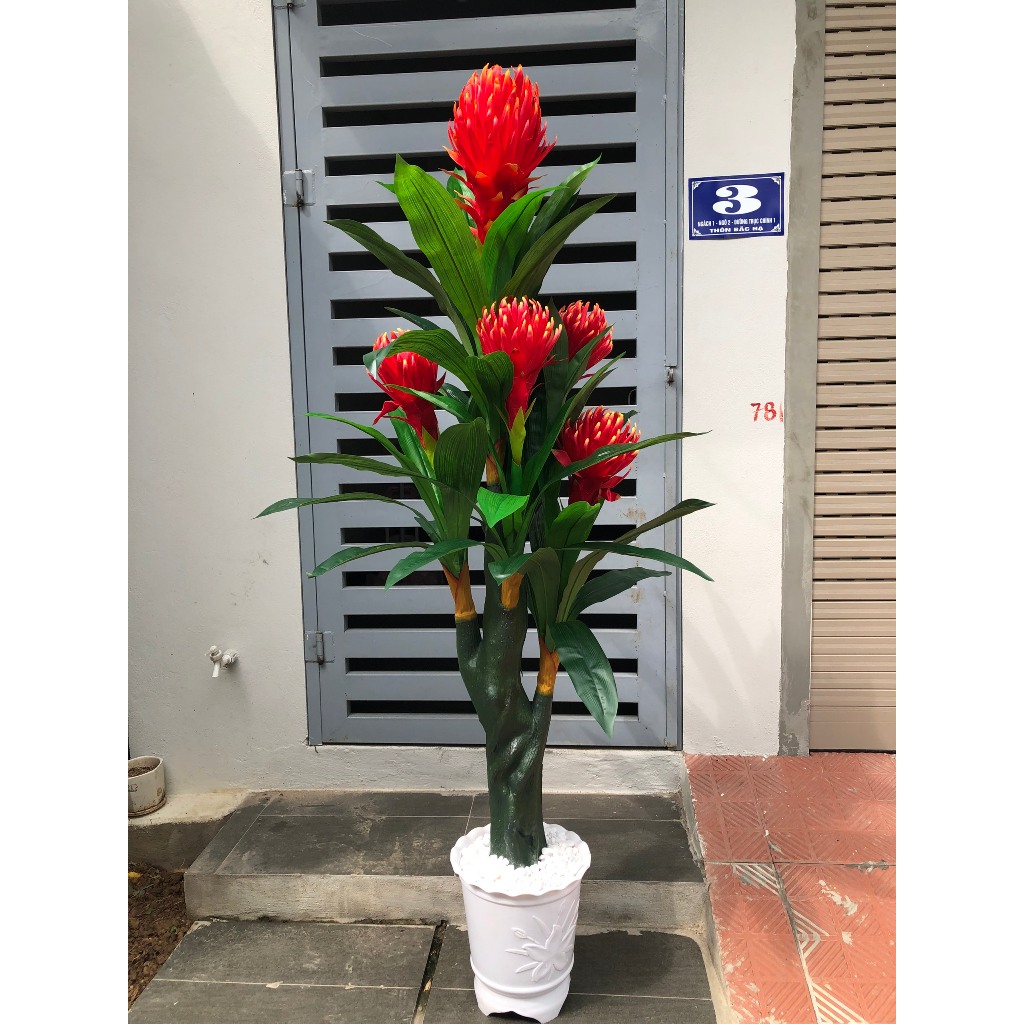 Cây Giả Cây Đại Lộc, Cây Hoa Thanh Long Trang Trí Decor Nhà Cửa Bền Đẹp