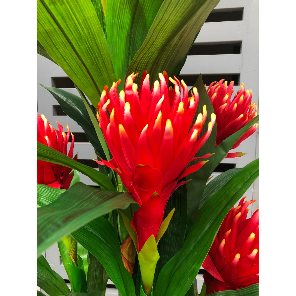 Cây Giả Cây Đại Lộc, Cây Hoa Thanh Long Trang Trí Decor Nhà Cửa Bền Đẹp