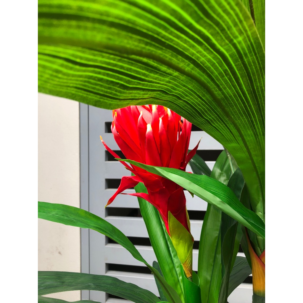 Cây Giả Cây Đại Lộc, Cây Hoa Thanh Long Trang Trí Decor Nhà Cửa Bền Đẹp