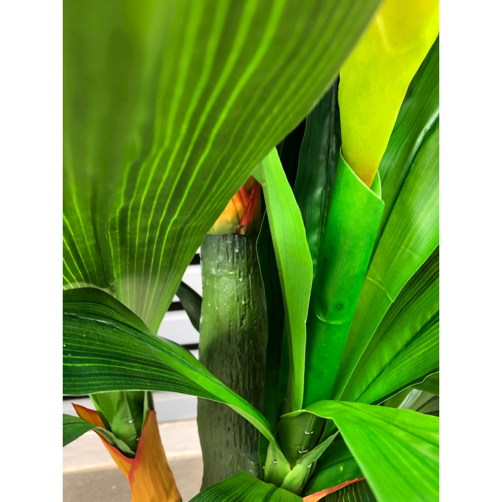 Cây Giả Cây Đại Lộc, Cây Hoa Thanh Long Trang Trí Decor Nhà Cửa Bền Đẹp