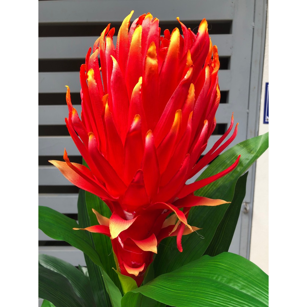 Cây Giả Cây Đại Lộc, Cây Hoa Thanh Long Trang Trí Decor Nhà Cửa Bền Đẹp