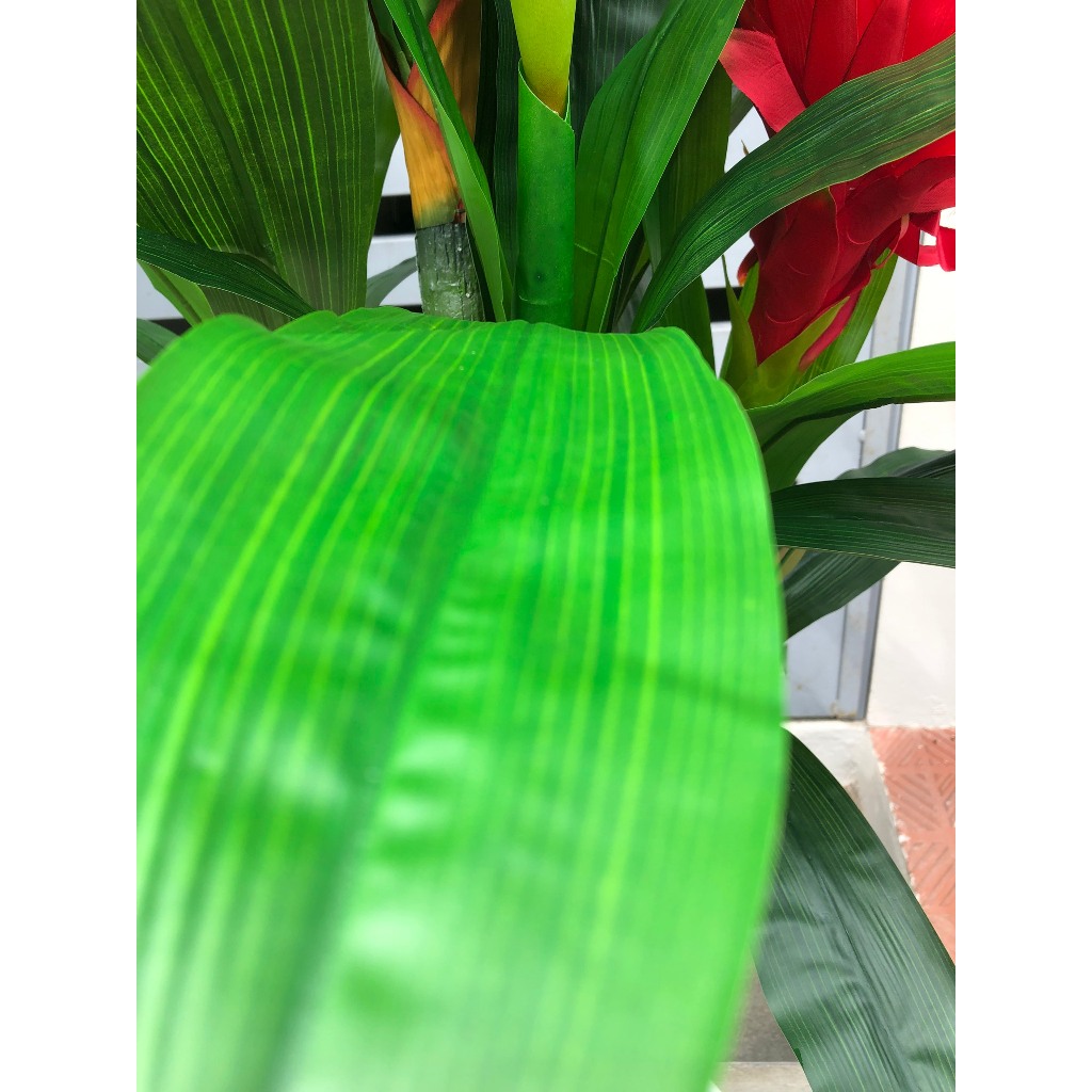 Cây Giả Cây Đại Lộc, Cây Hoa Thanh Long Trang Trí Decor Nhà Cửa Bền Đẹp