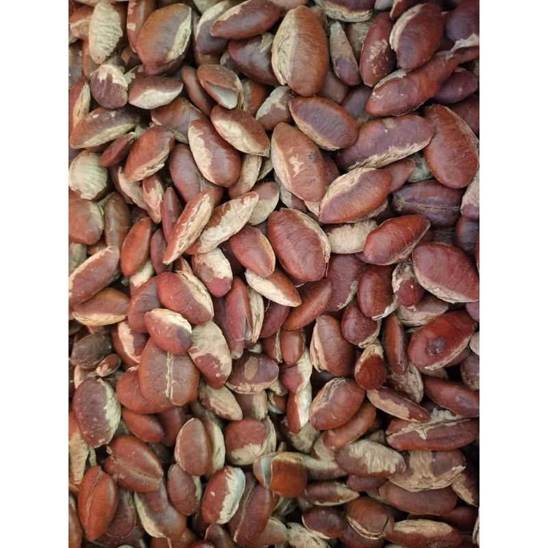 1kg Hạt konia rừng Tây Nguyên