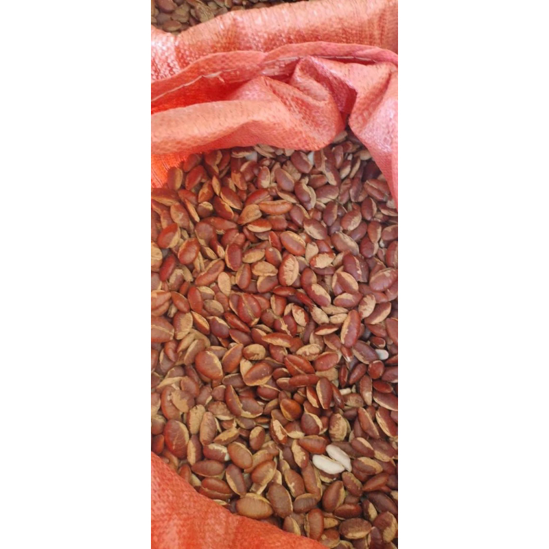 1kg Hạt konia rừng Tây Nguyên