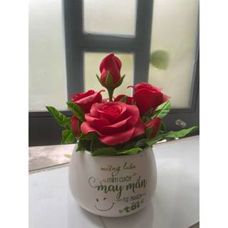 Chậu hoa hồng đỏ để bàn làm từ đất sét