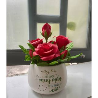 Chậu hoa hồng đỏ để bàn làm từ đất sét