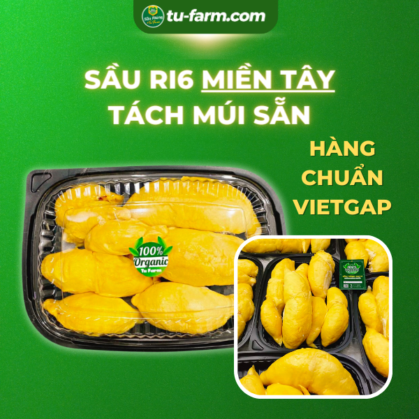 Sầu riêng Ri6 Miền Tây Tách múi sẵn --NGON, NGỌT, CƠM DẺO, MÚI VÀNG( chuẩn VIETGAP )