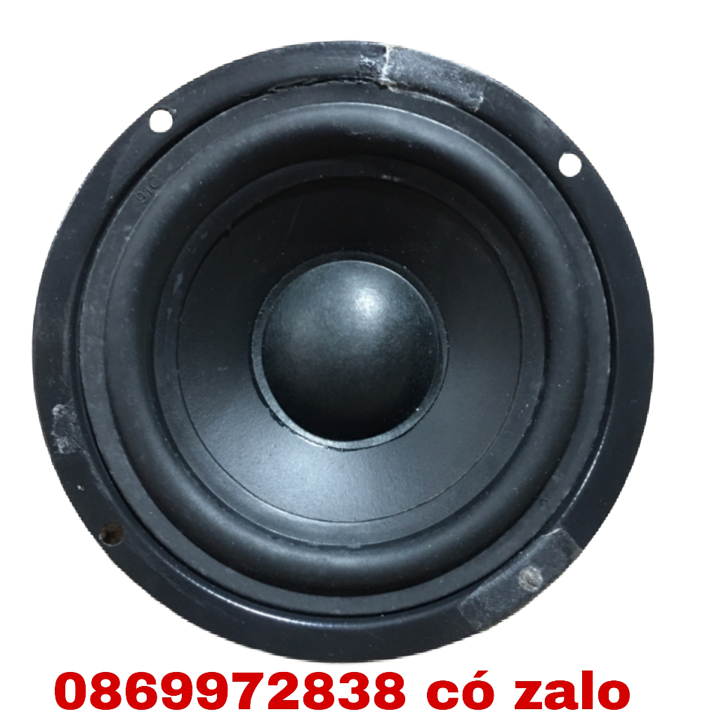 LOA MID 10 BM TỪ 65 COIL 19MM CÔNG SUẤT 150W - GIÁ MỘT LOA