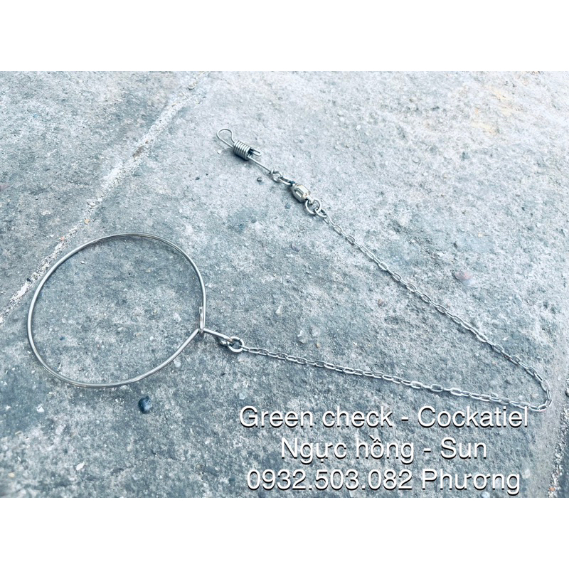 Vòng đeo chân vẹt cockatiel