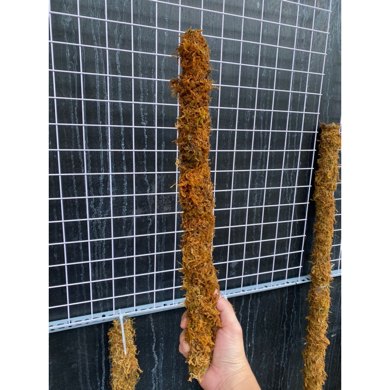 Trụ Rêu thủ công