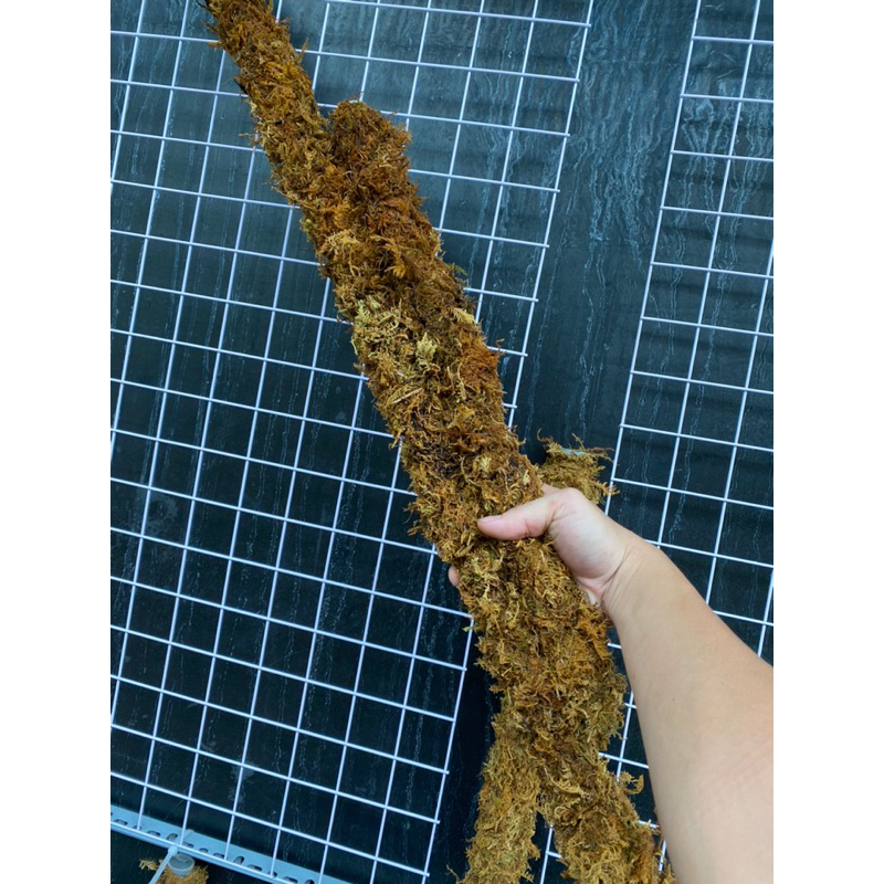 Trụ Rêu thủ công