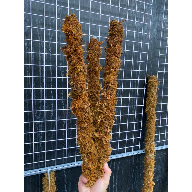 Trụ Rêu thủ công