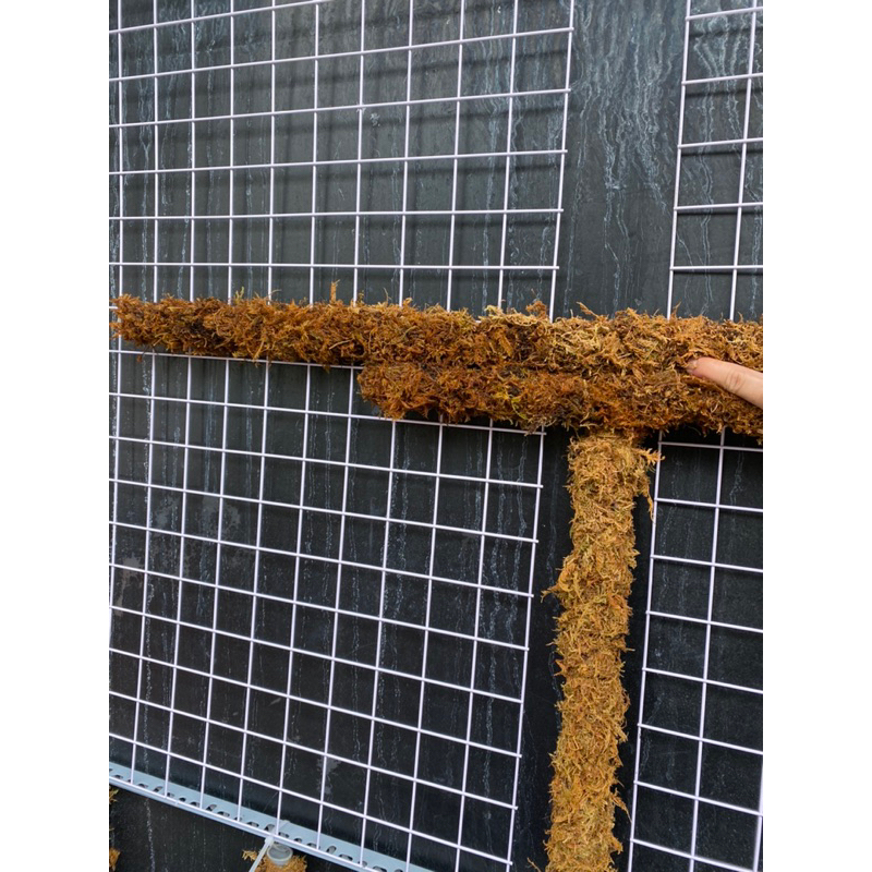 Trụ Rêu thủ công