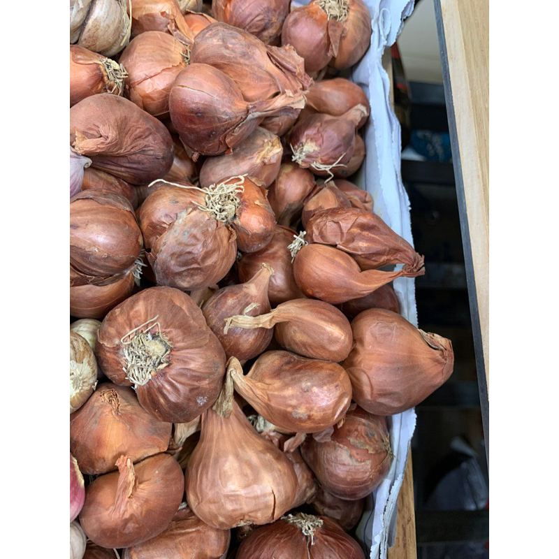 Củ Hành Hải Dương bịch 1kg