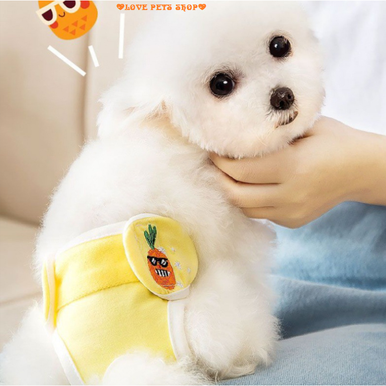 Quần sinh lý cho Chó Mèo Hipidog - Love Pets Shop