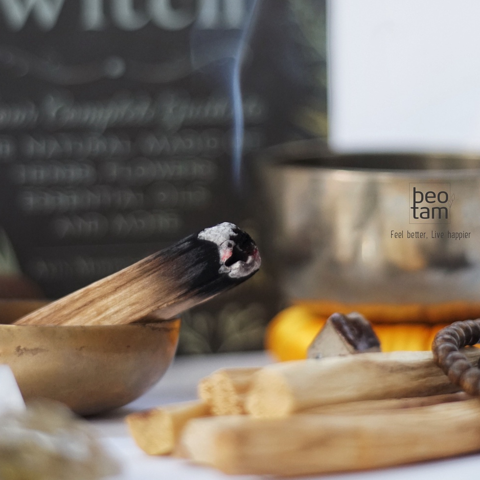 Palo Santo - Gỗ trắc xanh Bèo Tấm Thanh tẩy năng lượng thanh lọc không khí, cân bằng năng lượng, giúp ngủ ngon