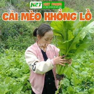 Hạt giống rau Cải mèo hà Giang, cải khổng lồ - h2t farm