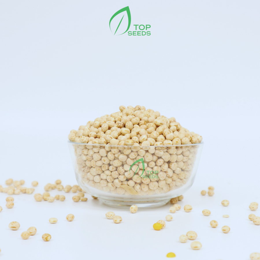 Đậu Cúc  Đà Lạt Không Biến Đổi Gen Nấu Cháo Nấu Chè