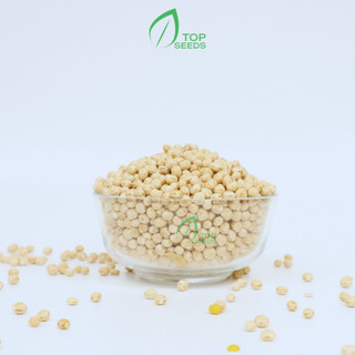Đậu cúc top seeds không biến đổi gen nấu cháo nấu chè 500g