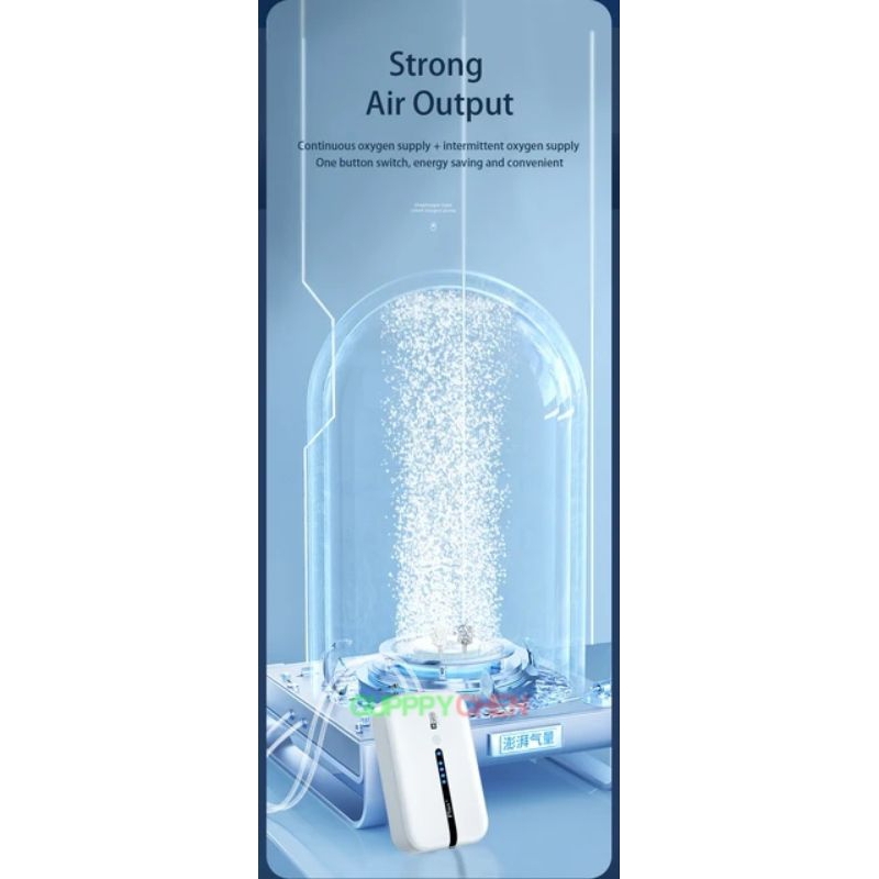 Máy Sủi Oxi 2 Vòi Tích Điện SOBO SB-428 2W cho hồ cá