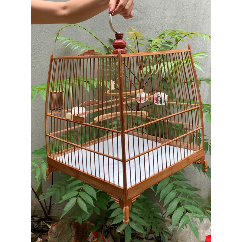 Khung lồng chim chào mào tự ráp lồng chào mào trúc form thái đấu, vuông đấu BS01