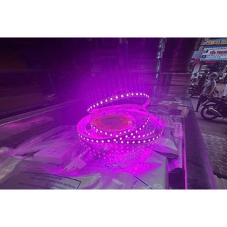 ĐÈN DÂY LED DÁN TRANG TRÍ 5050 12V ( cuộn 5m )