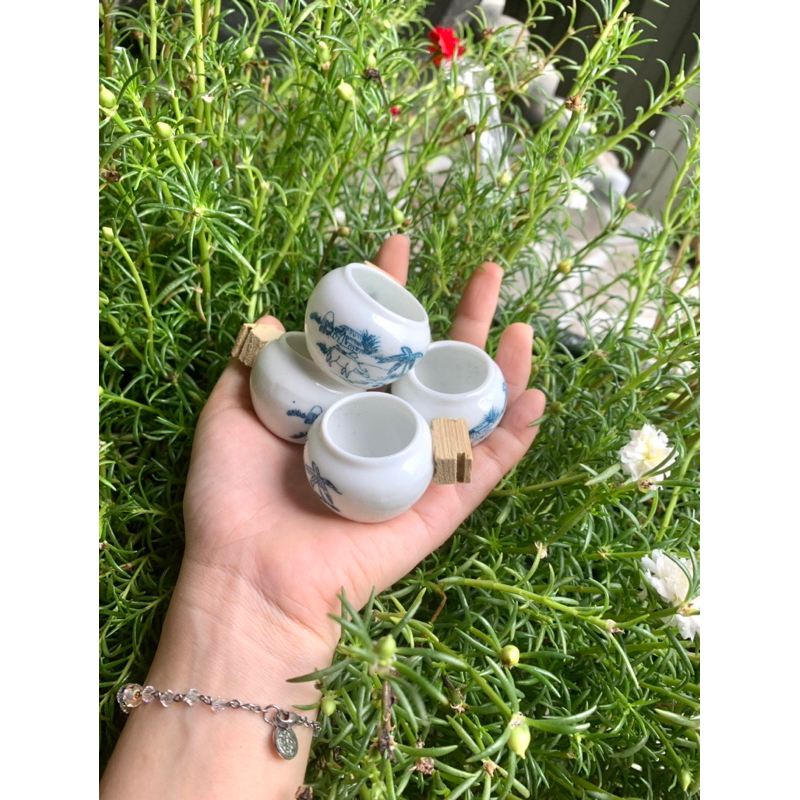 Cóng chim khuyên chất liệu gốn sứ cao cấp hoạ tiết siêu đẹpmàu sắc ngẫu nhiên