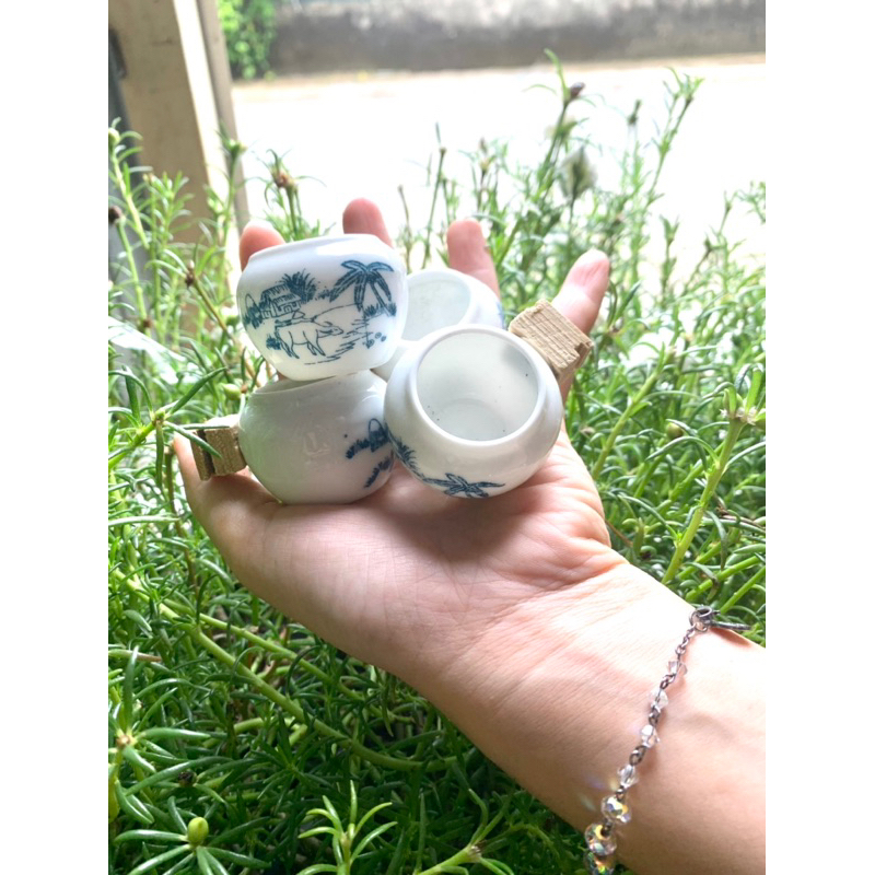 Cóng chim khuyên chất liệu gốn sứ cao cấp hoạ tiết siêu đẹpmàu sắc ngẫu nhiên