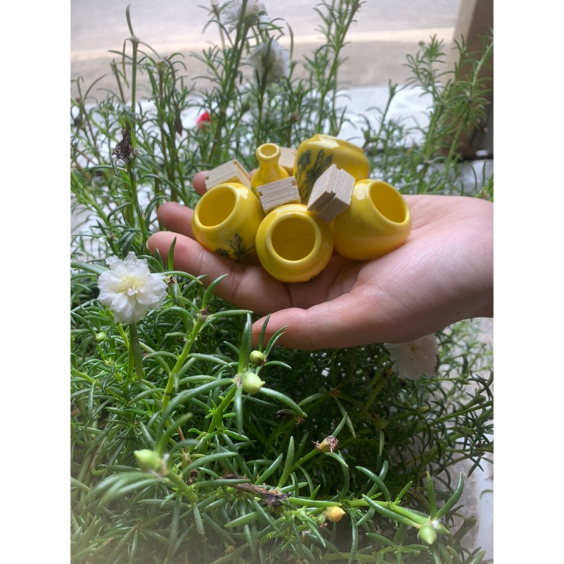 Cóng chim khuyên chất liệu gốn sứ cao cấp hoạ tiết siêu đẹpmàu sắc ngẫu nhiên