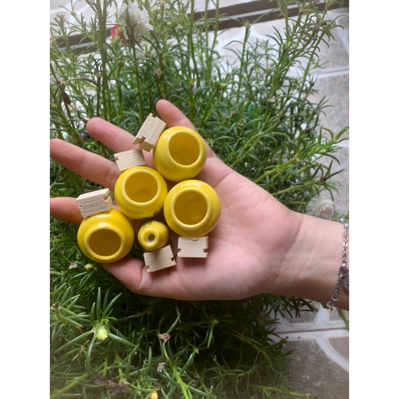 Cóng chim khuyên chất liệu gốn sứ cao cấp hoạ tiết siêu đẹpmàu sắc ngẫu nhiên