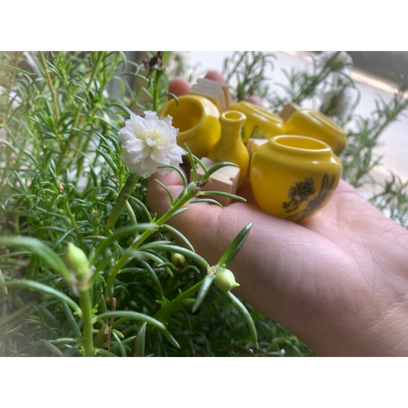 Cóng chim khuyên chất liệu gốn sứ cao cấp hoạ tiết siêu đẹpmàu sắc ngẫu nhiên