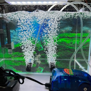 Máy Sủi Khí Oxy 2 Vòi RS 348A tặng kèm 2 bộ dây quả sủi (Máy sục khí oxy dành cho bể cá cảnh)