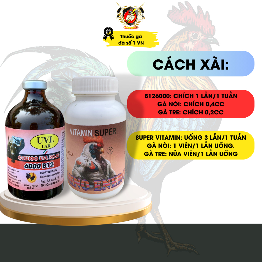 Bộ nuôi gà đá, thuocgada B12 6000 UVL và Vitamin Super, cung cấp vitamin, giúp gà lên cơ, lên ký.