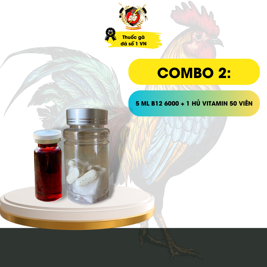 Bộ nuôi gà đá, thuocgada B12 6000 UVL và Vitamin Super, cung cấp vitamin, giúp gà lên cơ, lên ký.