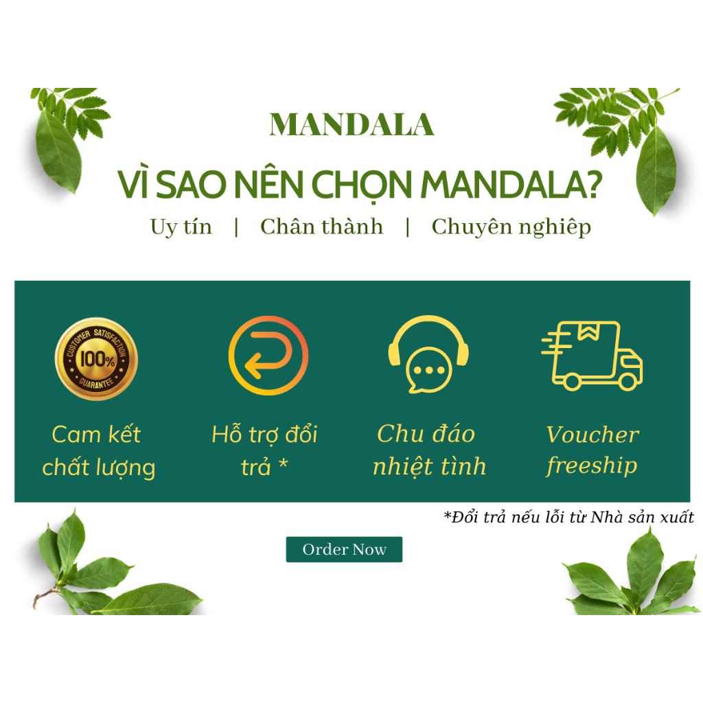 Hỗ trợ giảm cân thảo dược Himalaya Vrikshamla hỗ trợ kiểm soát cân nặng Mandala shop