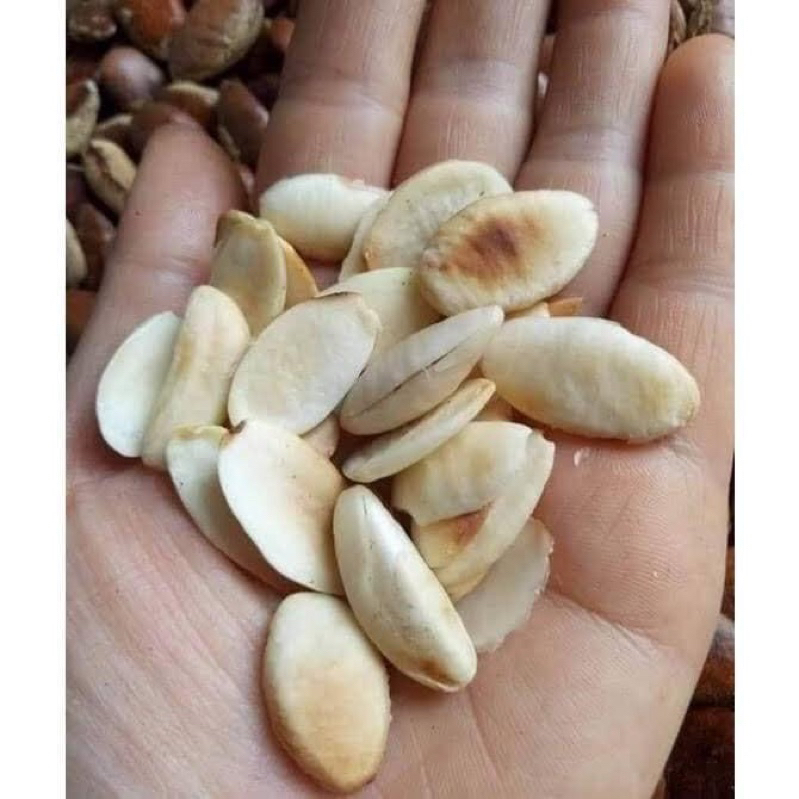 1kg Hạt konia rừng Tây Nguyên