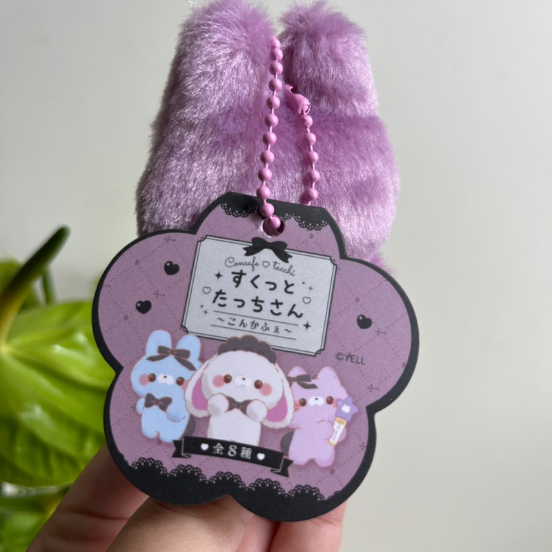 SUKUTTO TACCHISAN KONKAFE NGẪU NHIÊN VÀ CHỌN MẪU