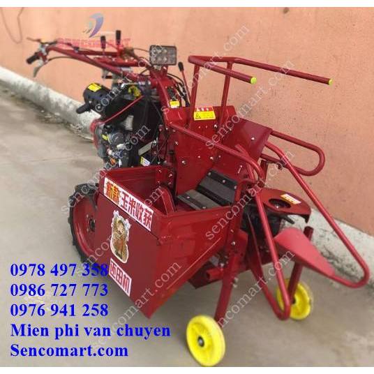 Máy thu hoạch ngô sencomart