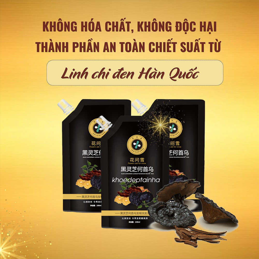 Cao phủ bạc linh chi đen Hàn Quốc dầu gội phủ bạc linh chi đen phủ đen mái tóc nuôi dưỡng tóc đen khỏe bóng mượt 240ml