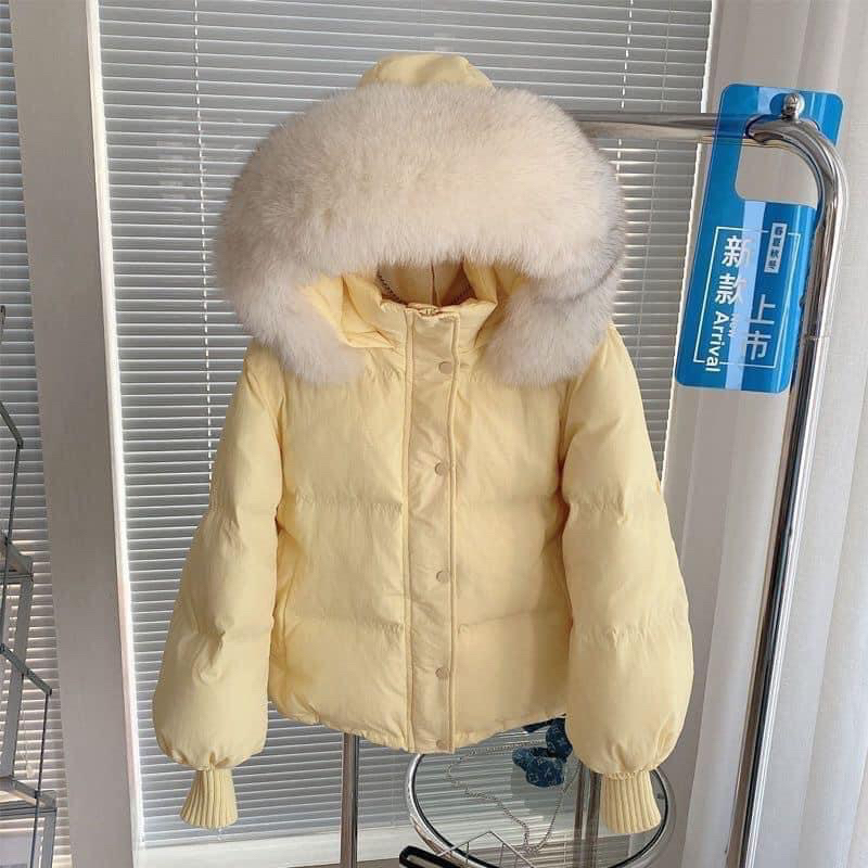 Áo phao nữ đại hàn mũ lông mẫu mới 2023