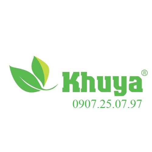 Hạt giống Hoa Vạn Thọ Lỡ F1 Hoàng Gia 08 Vàng Chanh