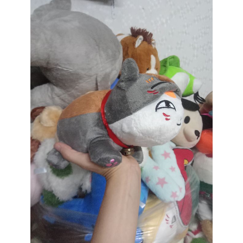 Gấu bông mèo coslay size khoảng 15-20cm