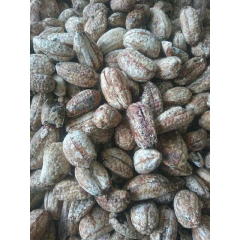 1kg chuối hột rừng