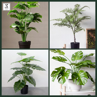 Cây giả bằng nhựa trang trí phòng khách, tiểu cảnh - 70cm - Jassi Decor