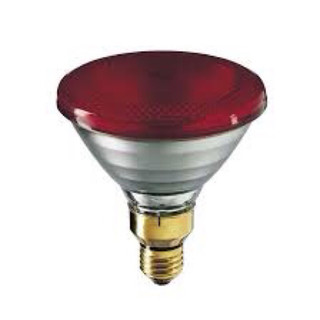 Bóng đèn hồng ngoại philips 150w/100w