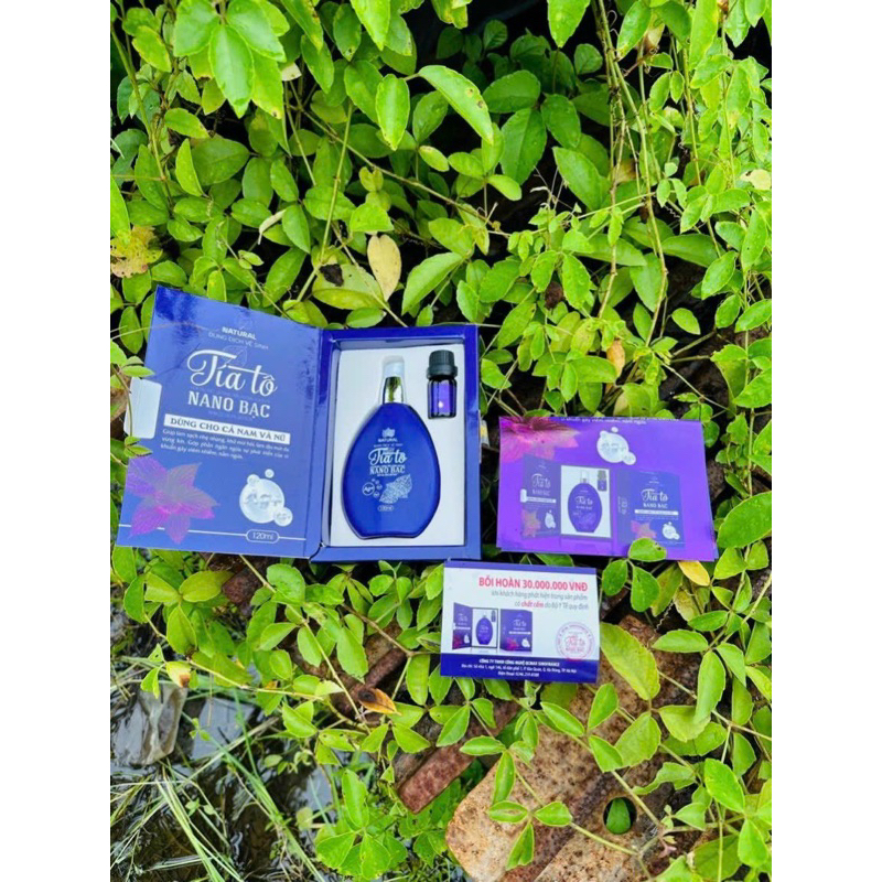 Dung dịch vệ sinh tía tô nano NMN Safffron kèm nước hoa cô bé