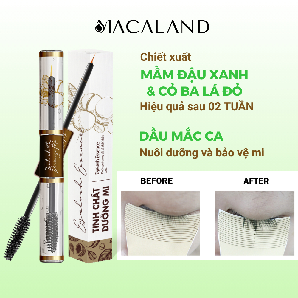 Tinh chất dưỡng mi dài cong chỉ sau 2 TUẦN 5ml/10ml MACALAND chiết xuất Mầm Đậu Xanh, Dầu Mắc Ca, Cỏ Ba Lá Đỏ, Lô Hội