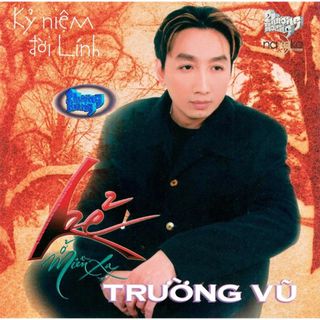 Đĩa cd kẻ ở miền xa - cd trường vũ chất lượng cao - phôi phono verbatim bìa màu