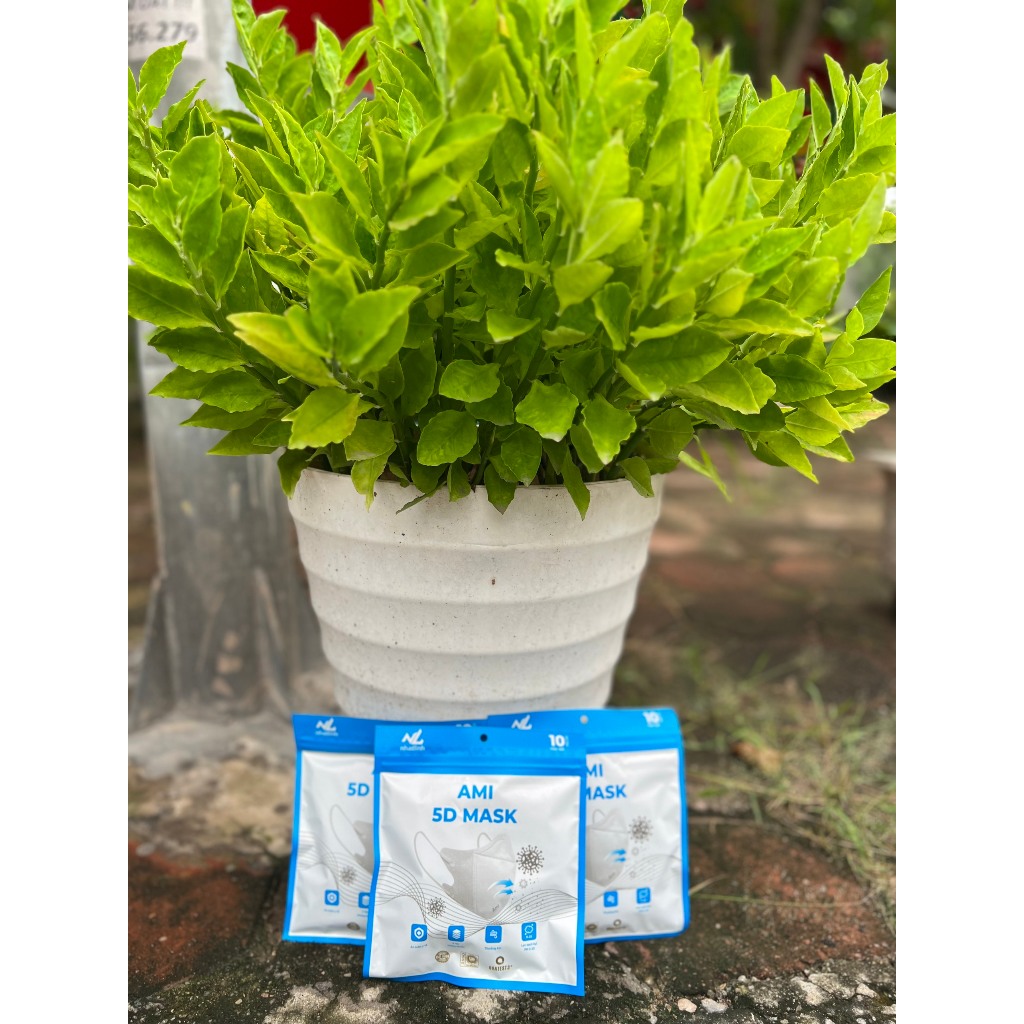 Khẩu trang 5D AMI Mask thùng 100 chiếc thời trang, chống bụi